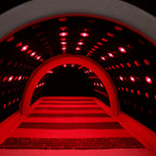 Energy Sauna (Sauna Dome)